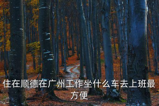 住在順德在廣州工作坐什么車去上班最方便