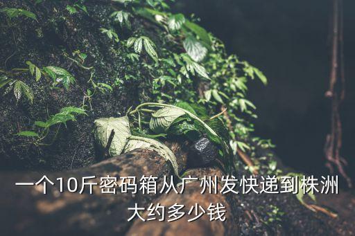 廣州到株洲快遞費多少錢，一個10斤密碼箱從廣州發快遞到株洲大約多少錢
