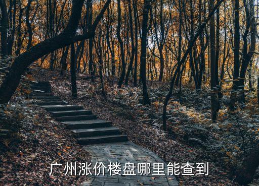 廣州漲價樓盤哪里能查到