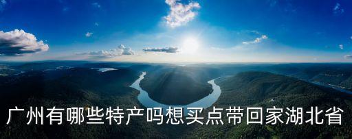 廣州沐足沙發能買嗎，廣州有哪些特產嗎想買點帶回家湖北省