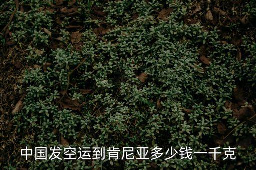 廣州到肯尼亞集裝箱多少錢，快遞到肯尼亞運(yùn)費(fèi) 空運(yùn)到肯尼亞價(jià)格多少 如何收費(fèi)
