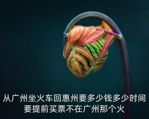 從廣州坐火車回惠州要多少錢多少時間要提前買票不在廣州那個火