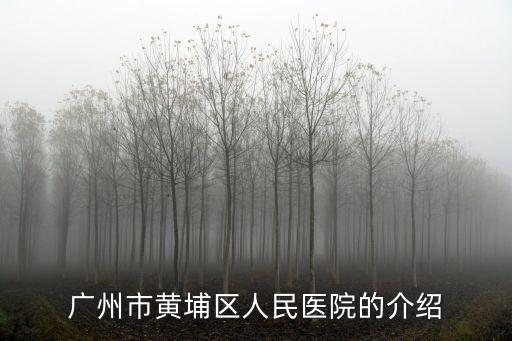 廣州市黃碼醫(yī)院，廣州中山大學(xué)附屬黃埔醫(yī)院