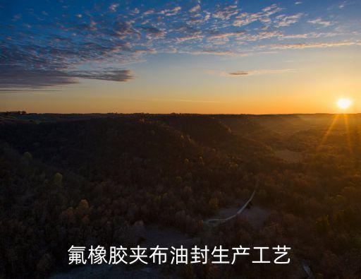 廣州車削氟橡膠密封圈，氟橡膠夾布油封生產工藝
