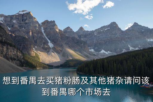 想到番禺去買豬粉腸及其他豬雜請問該到番禺哪個市場去