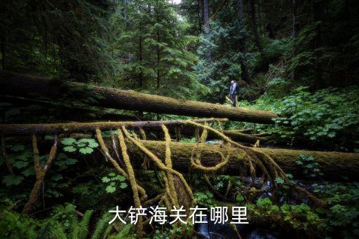 廣州海關緝私局大鏟分局地址，大鏟海關在哪里