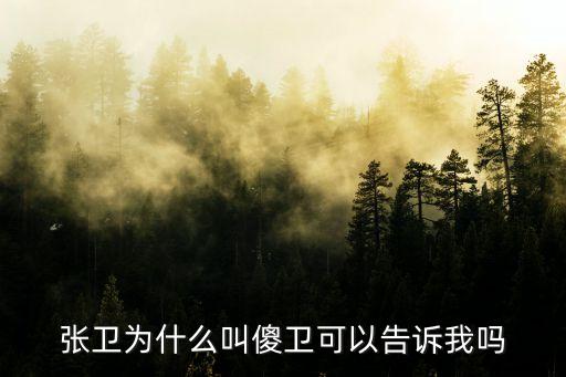 張衛為什么叫傻衛可以告訴我嗎