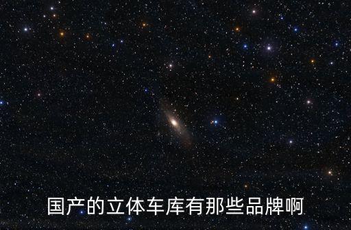 國產的立體車庫有那些品牌啊