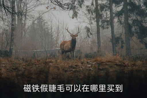 磁鐵假睫毛可以在哪里買到