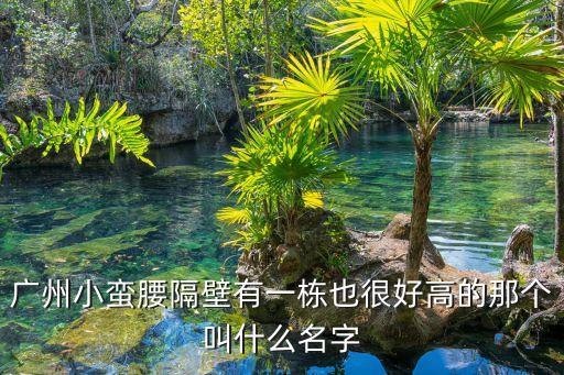 廣州小蠻腰隔壁有一棟也很好高的那個叫什么名字
