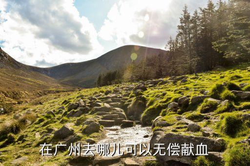 廣州獻血預約地點，廣州想去獻血在哪個地方安全嗎A型