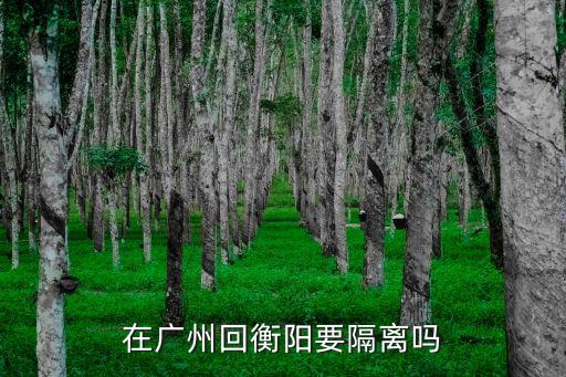 在廣州回衡陽要隔離嗎
