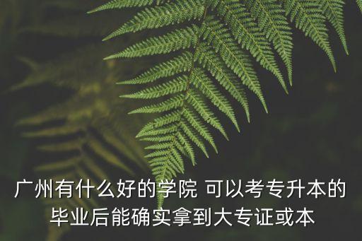 廣州專接本學校排名，廣州有什么好的學院 可以考專升本的 畢業后能確實拿到大專證或本