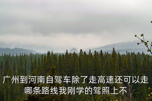 廣州到河南自駕車除了走高速還可以走哪條路線我剛學的駕照上不