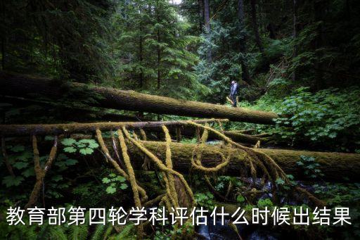 學科評估結果，2013年教育部最新學科評估結果在哪兒看不要百度文庫的找起來不