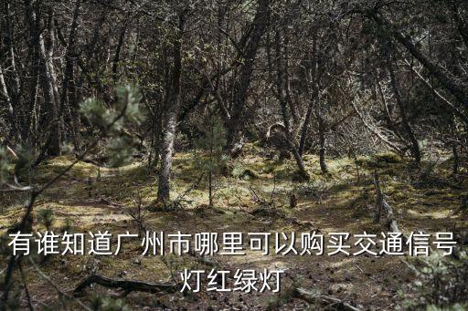 廣州榮興路紅綠燈，廣州多路口紅綠燈怎么看謝謝