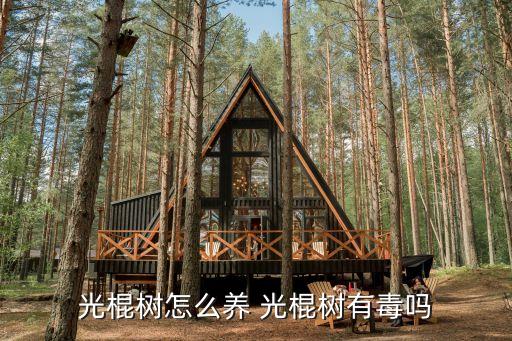 光棍樹有毒嗎，光棍樹怎么養 光棍樹有毒嗎