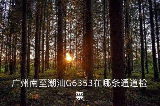 g6004廣州南檢票口，g6022在廣州南是哪個檢票口上車