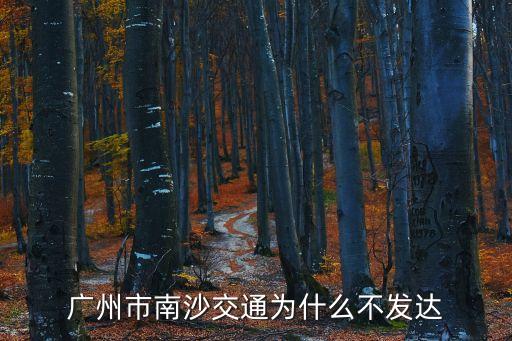 廣州南沙區發達嘛，過幾年南沙發展好不好