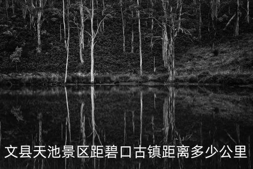 碧口古鎮(zhèn)，文縣天池景區(qū)距碧口古鎮(zhèn)距離多少公里