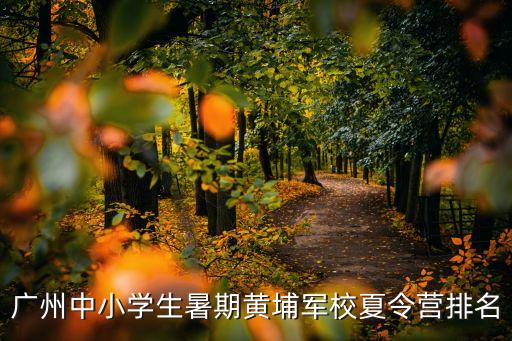 廣州訓練營軍校，廣州中小學生暑期黃埔軍校夏令營排名
