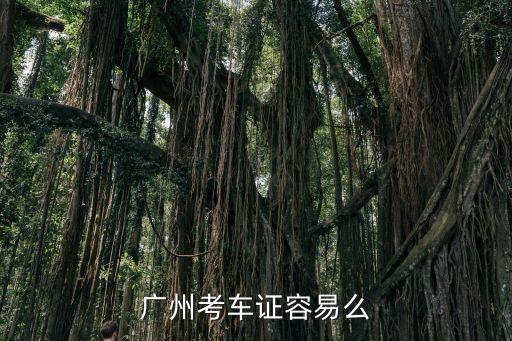 廣州考車證容易么