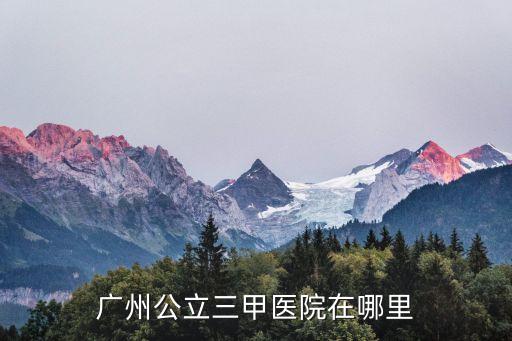 廣州公立三甲醫院在哪里