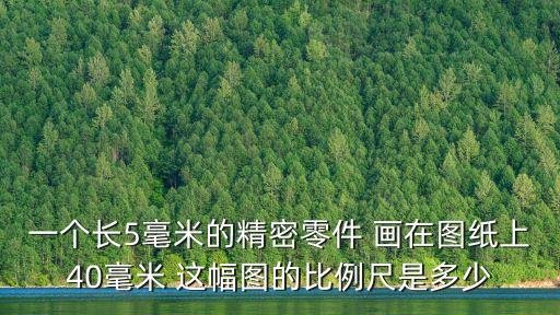 一個長5毫米的精密零件 畫在圖紙上40毫米 這幅圖的比例尺是多少