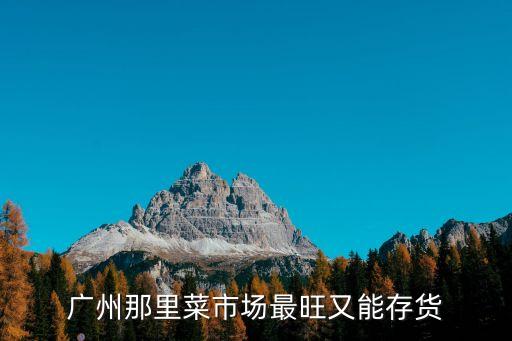 廣州那里菜市場最旺又能存貨