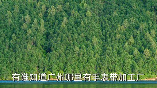 有誰知道廣州哪里有手表帶加工廠