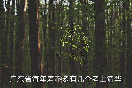廣東省每年差不多有幾個考上清華