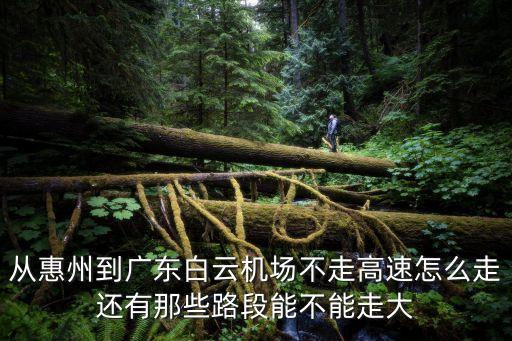 從惠州到廣東白云機場不走高速怎么走還有那些路段能不能走大