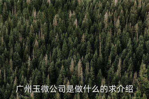 廣州網(wǎng)紅直播基地易偉明，網(wǎng)紅孵化基地在哪兒
