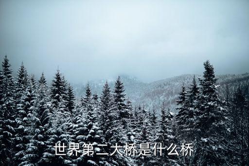 世界第二大橋是什么橋