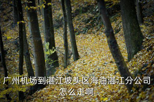 廣州飛湛江路線，廣州白云機場到湛江的問題