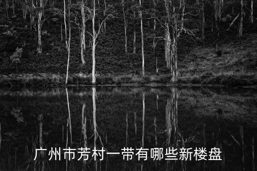 廣州芳村中海花海1號4期樓盤，廣州市芳村一帶有哪些新樓盤