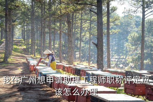 如何在廣州申報技術員職稱，關于職稱申報廣州