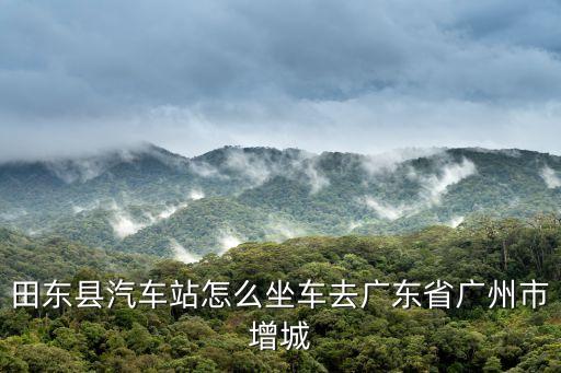 田東到廣州的車，廣西田東北站至廣州的動車每天幾點有車