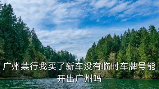 廣州不許出，最近要去廣州本人17聽說廣州很亂走在大街也會被搶晚上還不