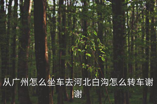 從廣州怎么坐車去河北白溝怎么轉車謝謝