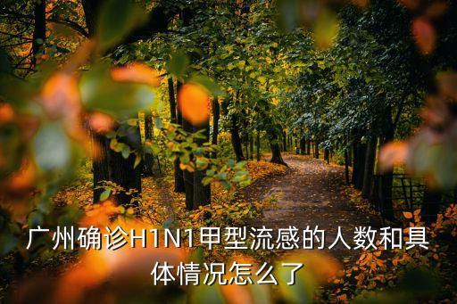 廣州確診H1N1甲型流感的人數(shù)和具體情況怎么了