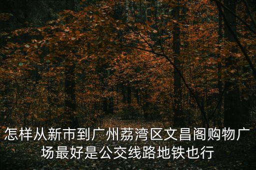 怎樣從新市到廣州荔灣區(qū)文昌閣購(gòu)物廣場(chǎng)最好是公交線路地鐵也行