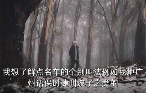 我想了解點名車的個別叫法例如我地廣州話保時捷叫波子之類的
