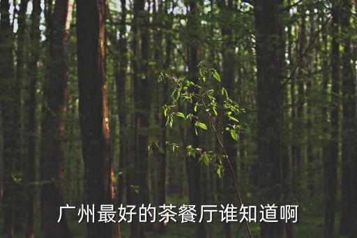 廣州最好的茶餐廳誰(shuí)知道啊