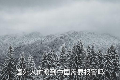 印度人偷渡廣州，在廣州販賣羊皮的印度人算走私嗎