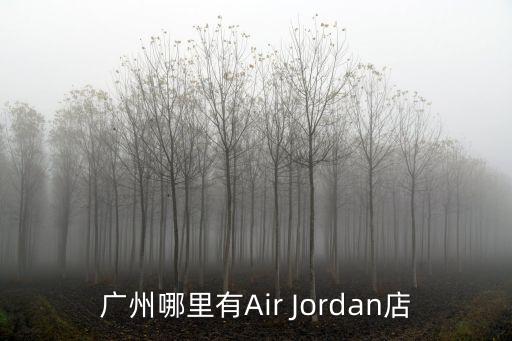 廣州東川路建雅臺，廣州哪里有Air Jordan店
