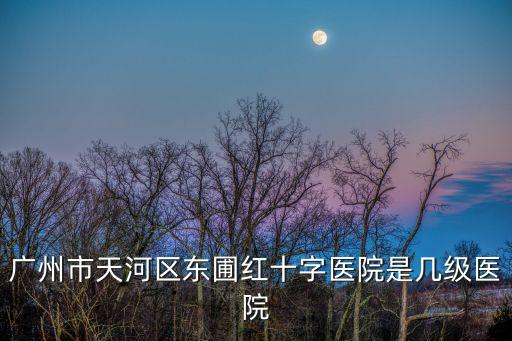 廣州市天河區(qū)東圃紅十字醫(yī)院是幾級(jí)醫(yī)院
