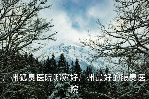 廣州狐臭醫院哪家好廣州最好的腋臭醫院