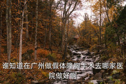 廣州哪一家醫院做假體，想在廣州做個假體隆胸不知道哪家醫院好