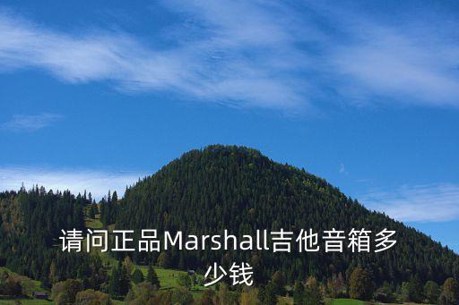 請問正品Marshall吉他音箱多少錢